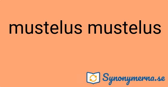 Bild som illustrerar uttrycket mustelus mustelus och dess synonymer.