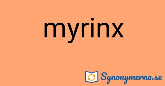 Bild som illustrerar ordet myrinx och dess synonymer.