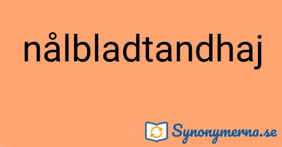Bild som illustrerar ordet nålbladtandhaj och dess synonymer.