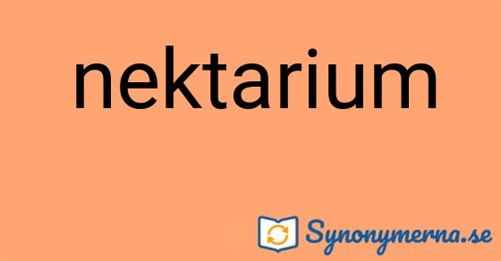 Bild som illustrerar ordet nektarium och dess synonymer.