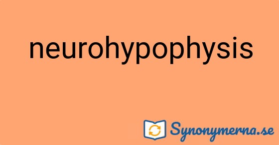 Bild som illustrerar ordet neurohypophysis och dess synonymer.