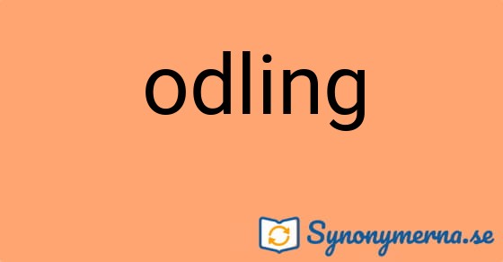 Bild som illustrerar ordet odling och dess synonymer.