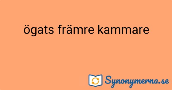 Bild som illustrerar uttrycket ögats främre kammare och dess synonymer.