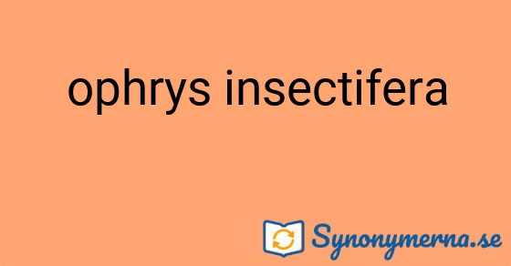 Bild som illustrerar uttrycket ophrys insectifera och dess synonymer.