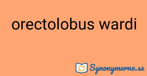 Bild som illustrerar uttrycket orectolobus wardi och dess synonymer.