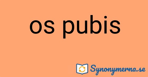 Bild som illustrerar uttrycket os pubis och dess synonymer.
