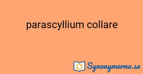 Bild som illustrerar uttrycket parascyllium collare och dess synonymer.