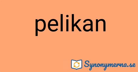Bild som illustrerar ordet pelikan och dess synonymer.