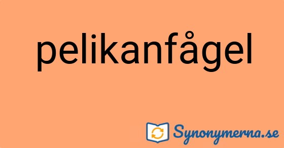Bild som illustrerar ordet pelikanfågel och dess synonymer.