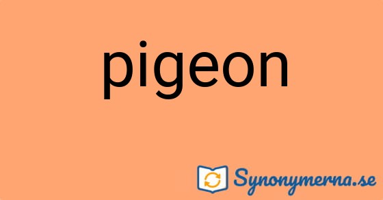Bild som illustrerar ordet pigeon och dess synonymer.