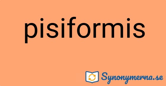 Bild som illustrerar ordet pisiformis och dess synonymer.