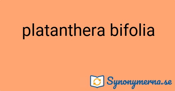 Bild som illustrerar uttrycket platanthera bifolia och dess synonymer.