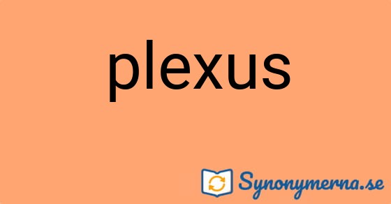 Bild som illustrerar ordet plexus och dess synonymer.