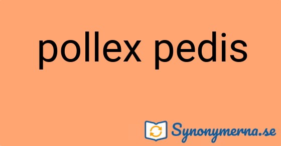 Bild som illustrerar uttrycket pollex pedis och dess synonymer.