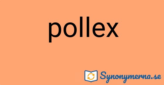 Bild som illustrerar ordet pollex och dess synonymer.