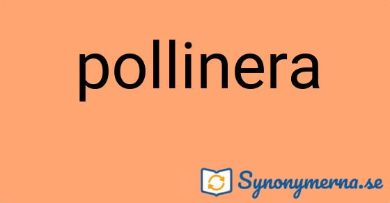 Bild som illustrerar ordet pollinera och dess synonymer.