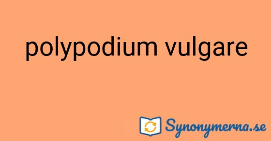 Bild som illustrerar uttrycket polypodium vulgare och dess synonymer.