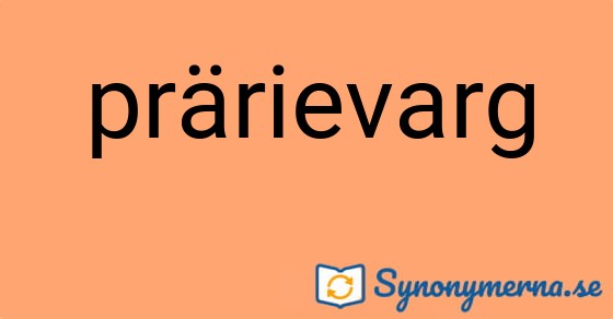 Bild som illustrerar ordet prärievarg och dess synonymer.