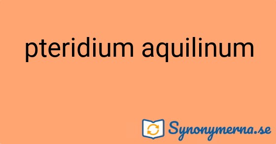 Bild som illustrerar uttrycket pteridium aquilinum och dess synonymer.