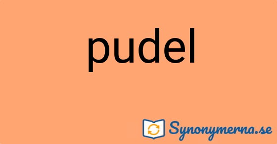 Bild som illustrerar ordet pudel och dess synonymer.