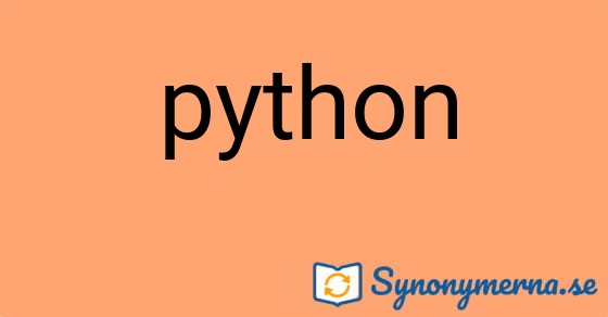 Bild som illustrerar ordet python och dess synonymer.