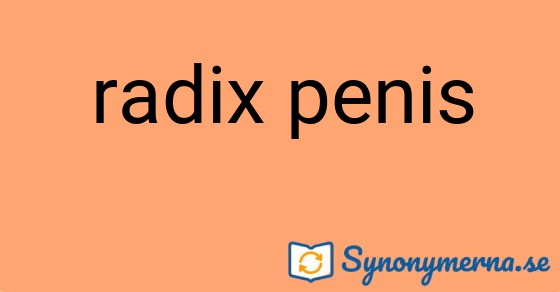 Bild som illustrerar uttrycket radix penis och dess synonymer.