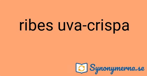 Bild som illustrerar uttrycket ribes uva-crispa och dess synonymer.
