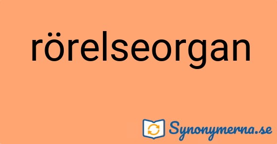 Bild som illustrerar ordet rörelseorgan och dess synonymer.