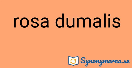 Bild som illustrerar uttrycket rosa dumalis och dess synonymer.