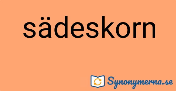 Bild som illustrerar ordet sädeskorn och dess synonymer.