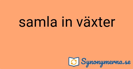 Bild som illustrerar uttrycket samla in växter och dess synonymer.