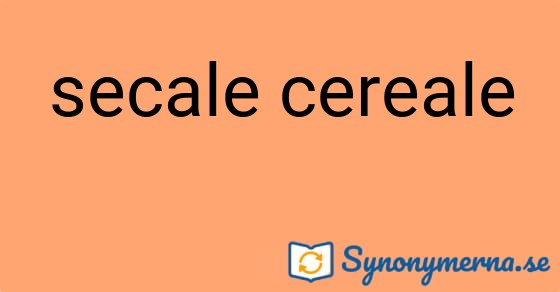 Bild som illustrerar uttrycket secale cereale och dess synonymer.