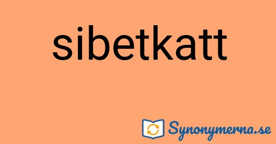 Bild som illustrerar ordet sibetkatt och dess synonymer.