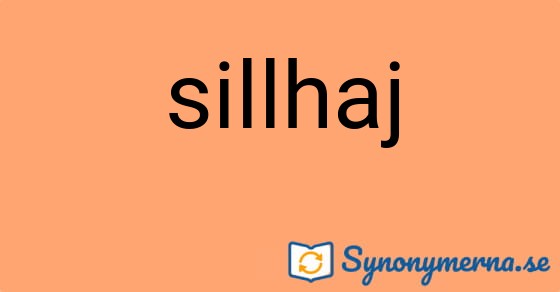 Bild som illustrerar ordet sillhaj och dess synonymer.