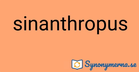 Bild som illustrerar ordet sinanthropus och dess synonymer.