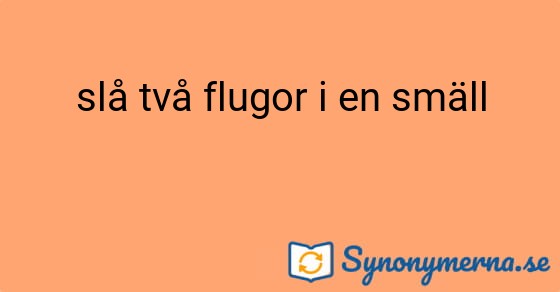 Bild som illustrerar uttrycket slå två flugor i en smäll och dess synonymer.