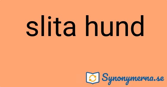 Bild som illustrerar uttrycket slita hund och dess synonymer.