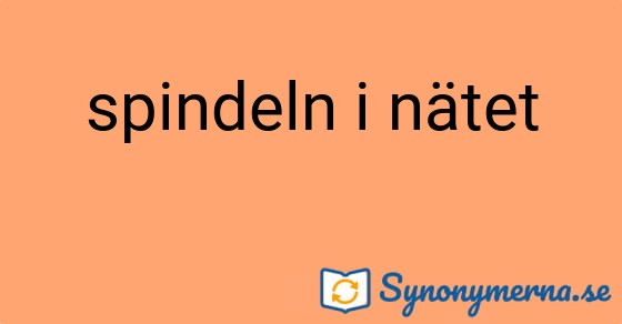 Bild som illustrerar uttrycket spindeln i nätet och dess synonymer.