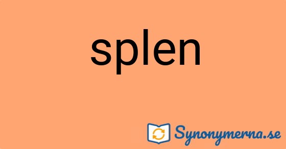 Bild som illustrerar ordet splen och dess synonymer.