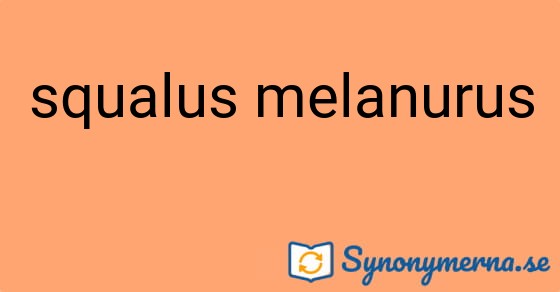 Bild som illustrerar uttrycket squalus melanurus och dess synonymer.