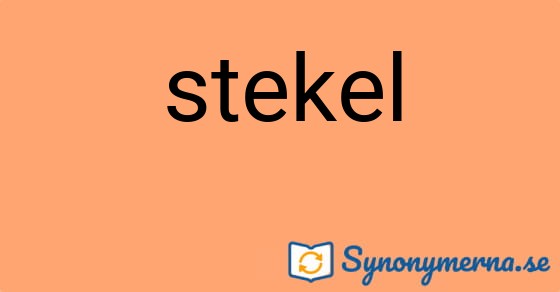 Bild som illustrerar ordet stekel och dess synonymer.