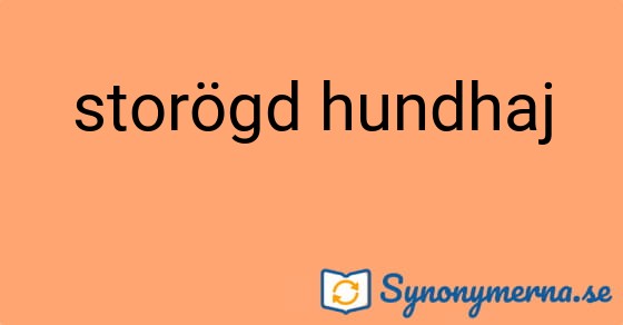Bild som illustrerar uttrycket storögd hundhaj och dess synonymer.