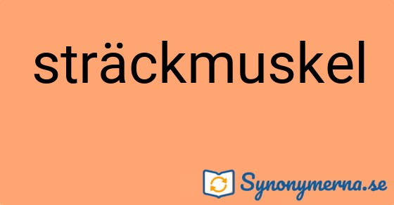 Bild som illustrerar ordet sträckmuskel och dess synonymer.