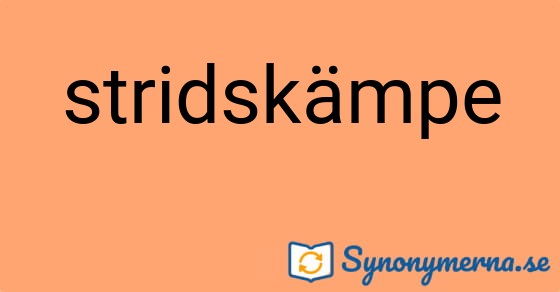 Bild som illustrerar ordet stridskämpe och dess synonymer.