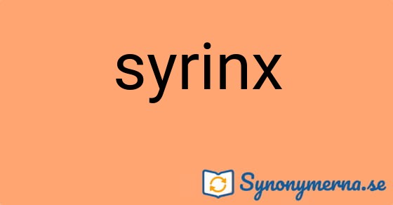 Bild som illustrerar ordet syrinx och dess synonymer.