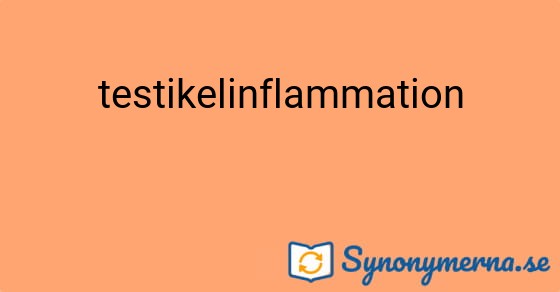 Bild som illustrerar ordet testikelinflammation och dess synonymer.