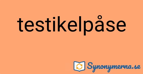 Bild som illustrerar ordet testikelpåse och dess synonymer.