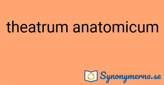 Bild som illustrerar uttrycket theatrum anatomicum och dess synonymer.