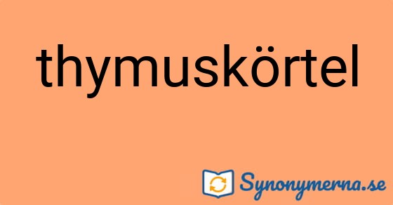 Bild som illustrerar ordet thymuskörtel och dess synonymer.