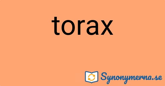 Bild som illustrerar ordet torax och dess synonymer.